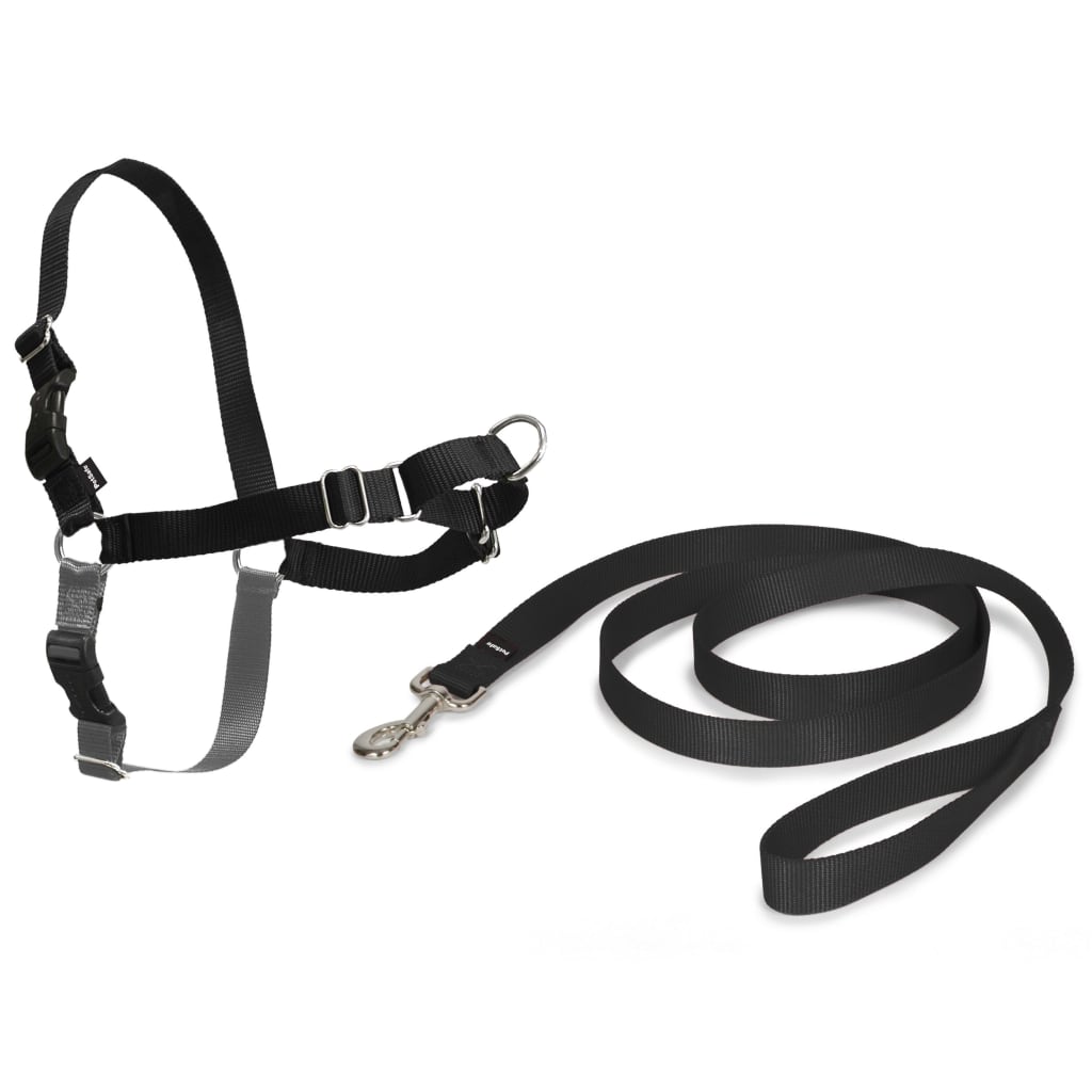 Walk r 2024 cise harness medium