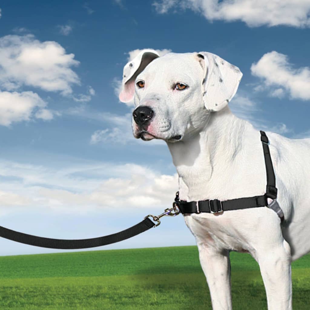 Thumbnail - PetSafe Hundegeschirr Easy Walk M Schwarz
