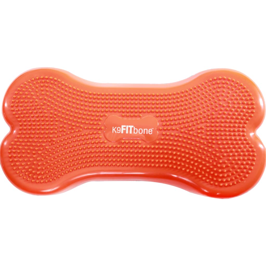 FitPAWS Pasja podloga za ravnotežje K9FITbone 58x29x10 cm oranžna