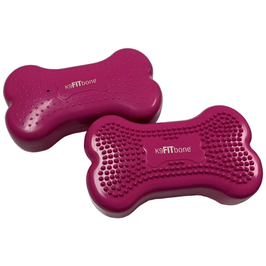 FitPAWS Balanční platformy pro zvířata Mini K9FITbone 2 ks 29x16,5x6cm